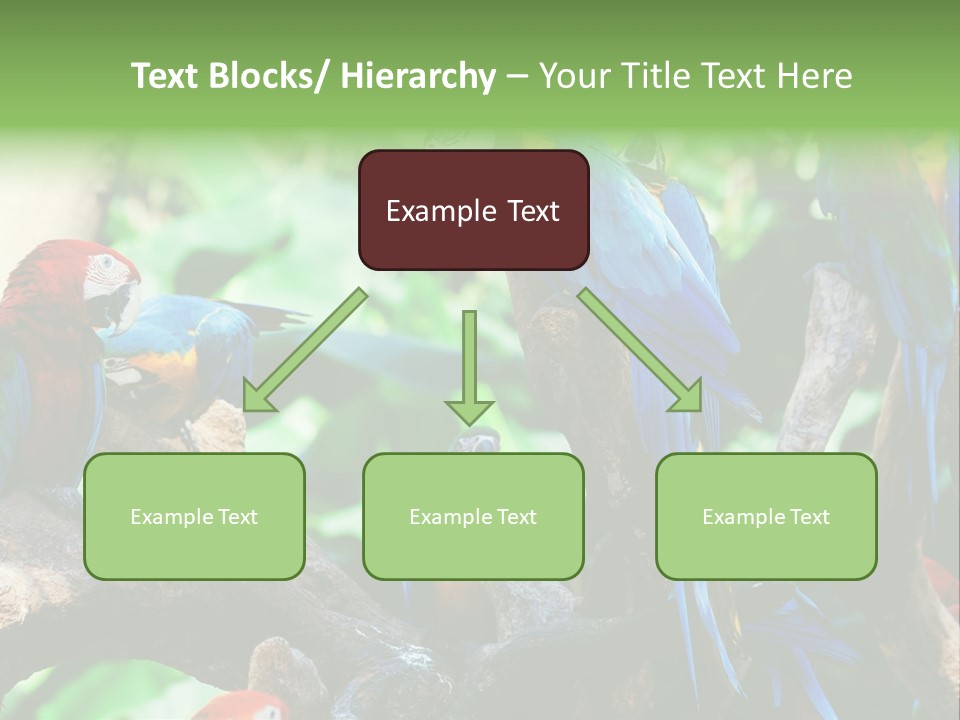 Yellow Forest Image PowerPoint Template