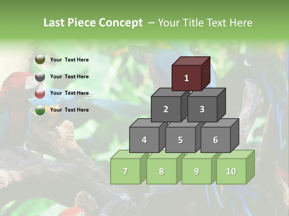 Yellow Forest Image PowerPoint Template