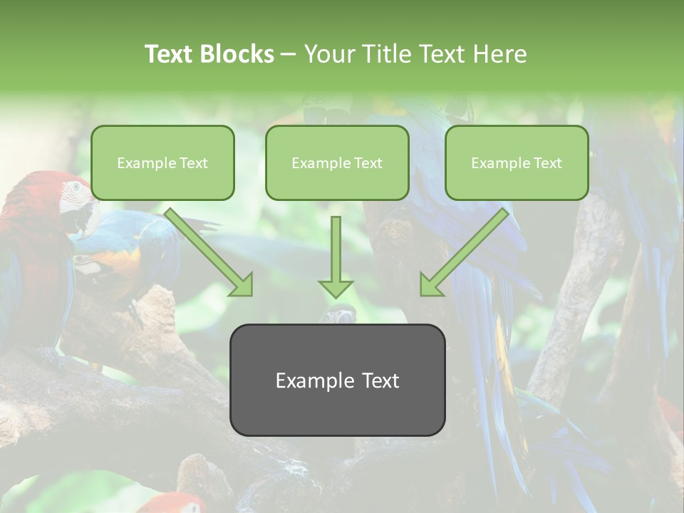 Yellow Forest Image PowerPoint Template