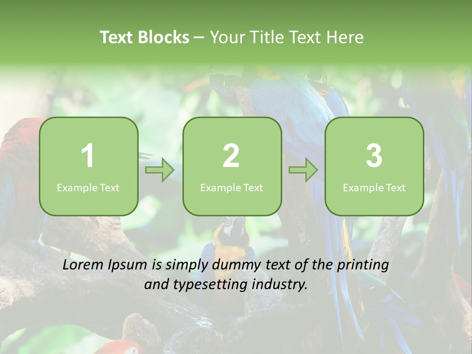 Yellow Forest Image PowerPoint Template