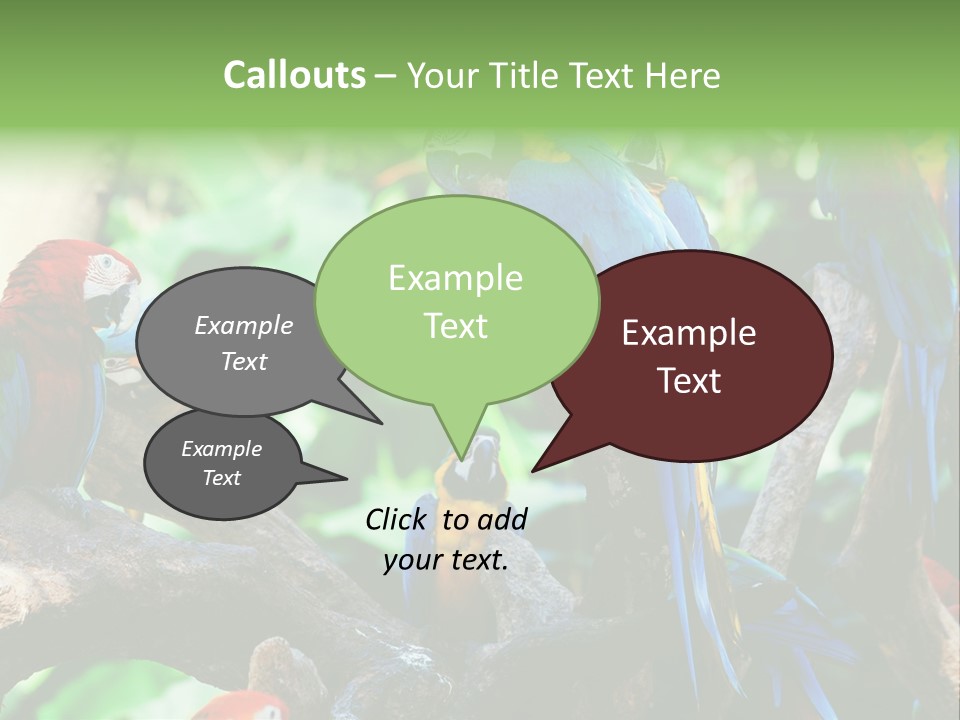 Yellow Forest Image PowerPoint Template