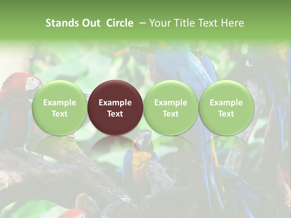 Yellow Forest Image PowerPoint Template