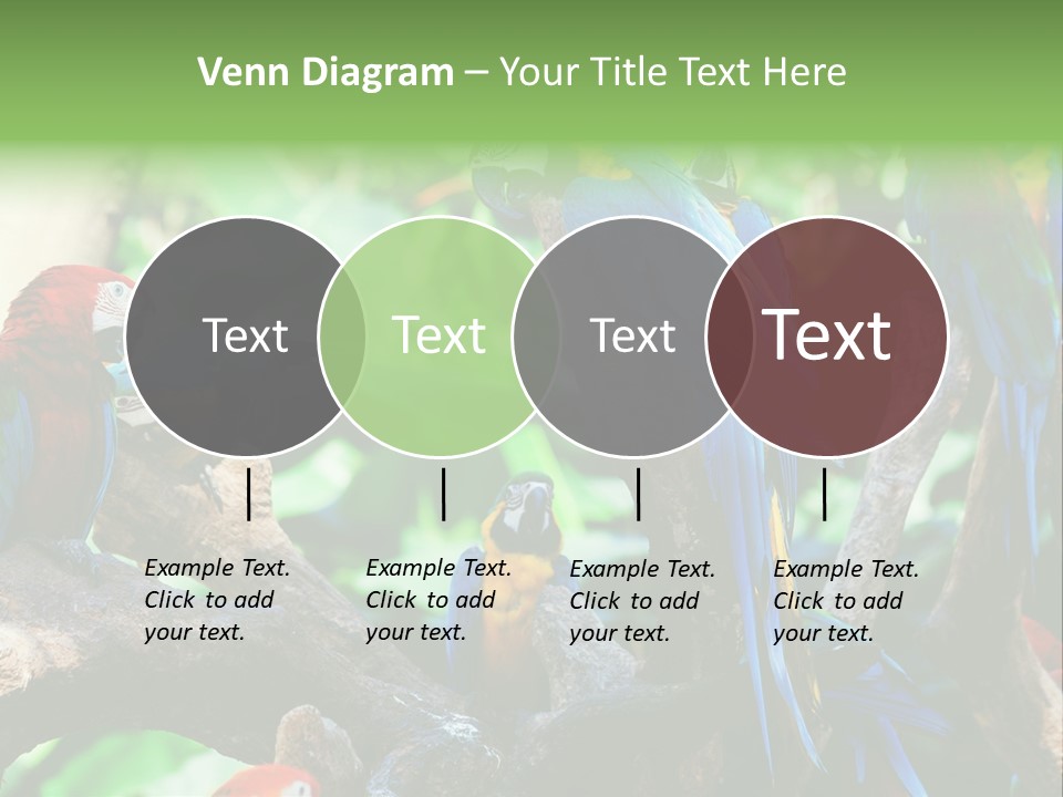 Yellow Forest Image PowerPoint Template