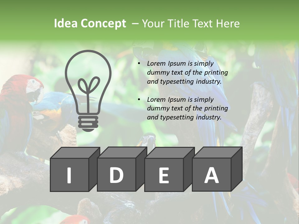 Yellow Forest Image PowerPoint Template