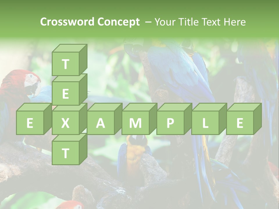 Yellow Forest Image PowerPoint Template