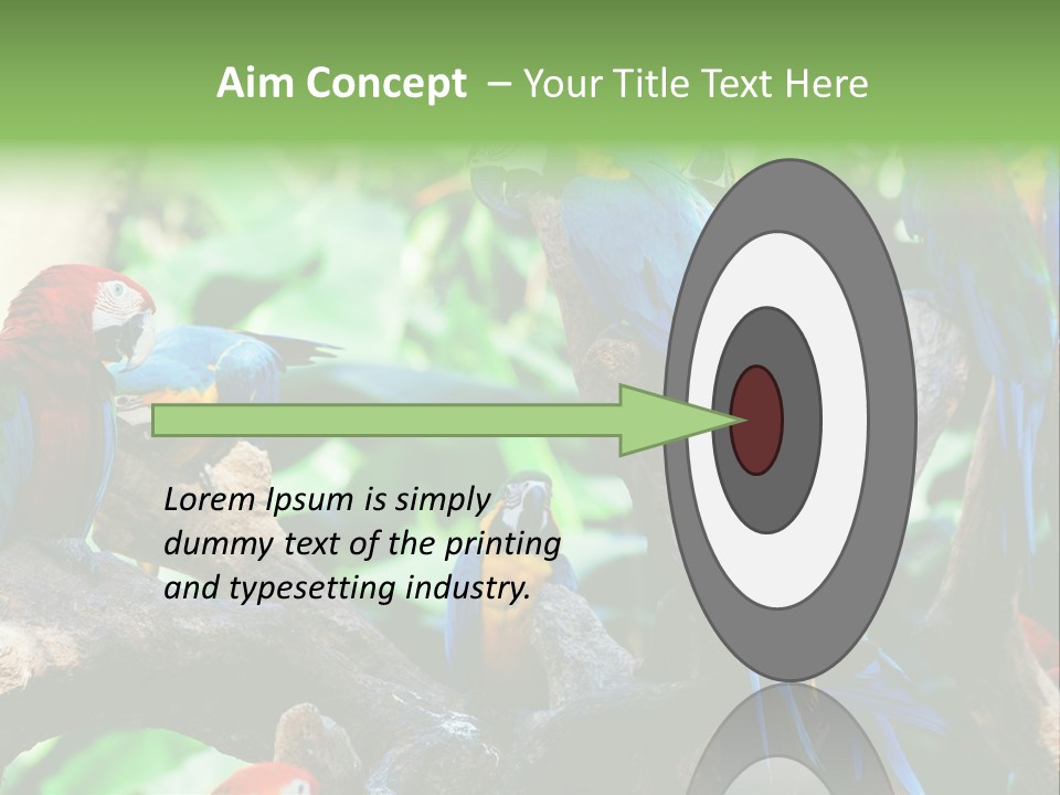 Yellow Forest Image PowerPoint Template