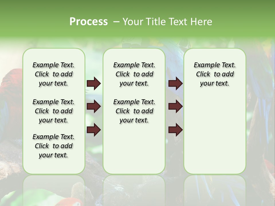 Yellow Forest Image PowerPoint Template