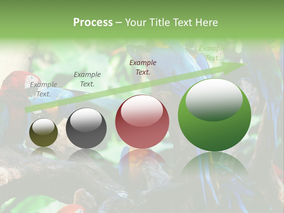 Yellow Forest Image PowerPoint Template