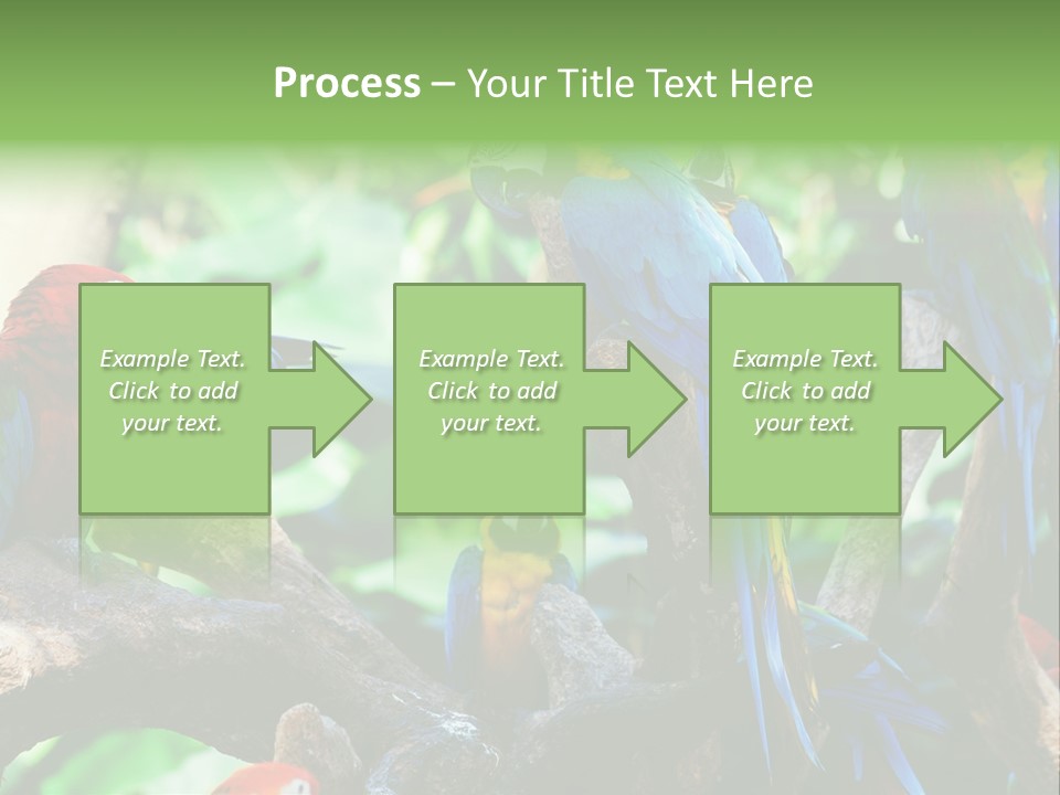 Yellow Forest Image PowerPoint Template