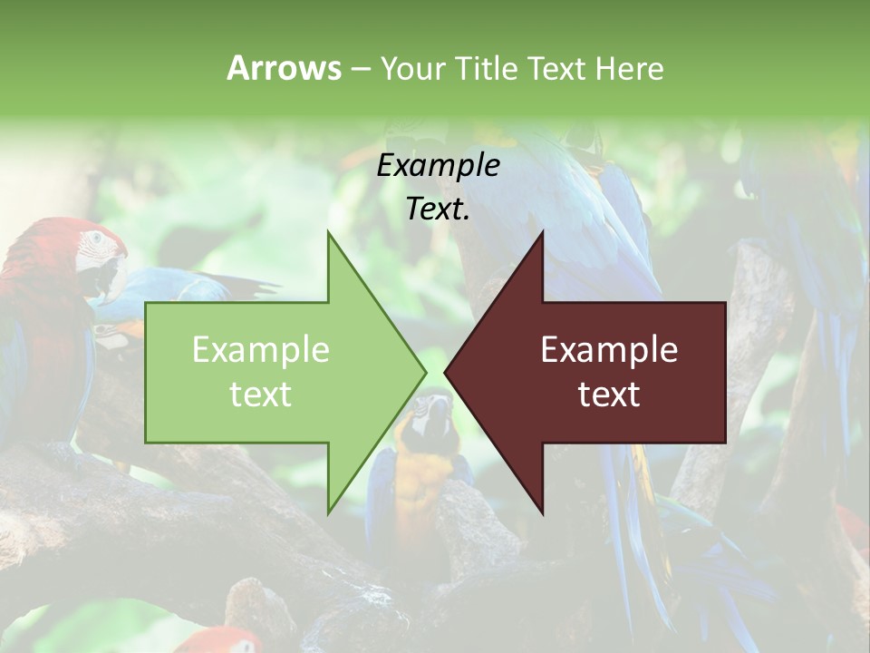 Yellow Forest Image PowerPoint Template