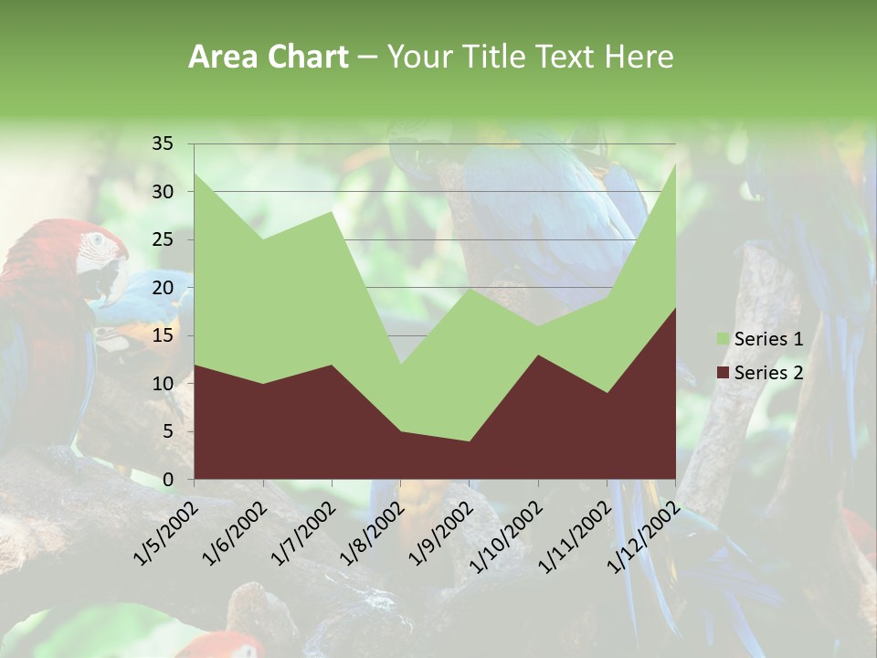 Yellow Forest Image PowerPoint Template