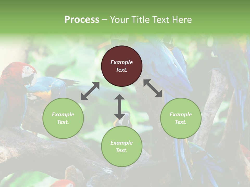 Yellow Forest Image PowerPoint Template
