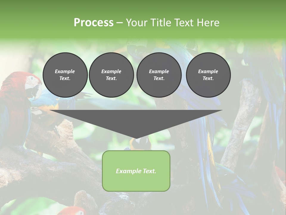Yellow Forest Image PowerPoint Template
