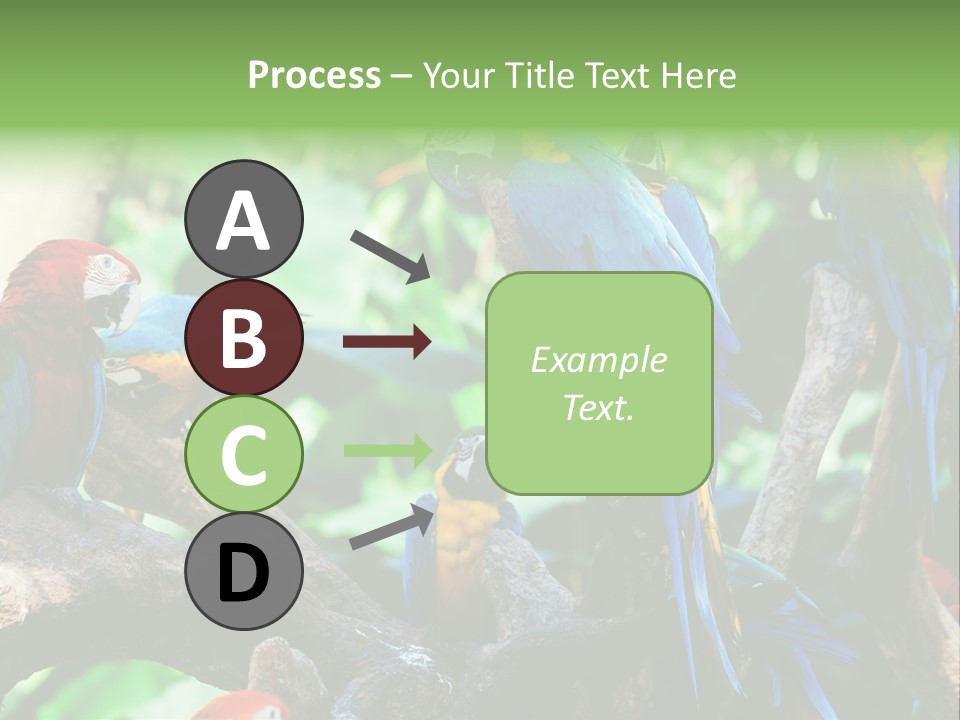 Yellow Forest Image PowerPoint Template