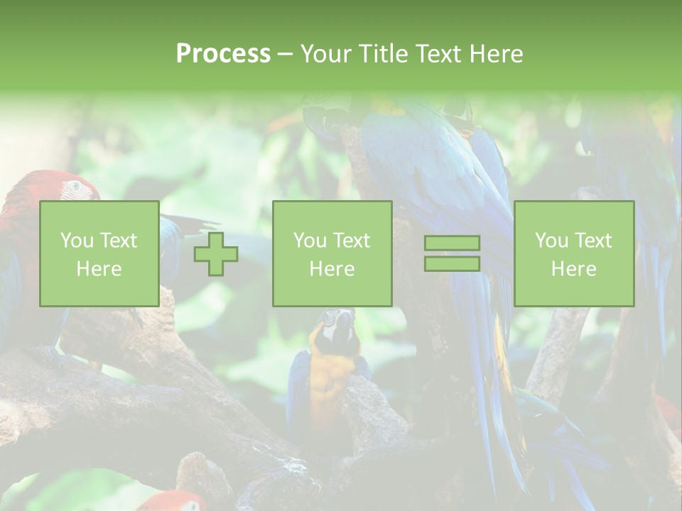 Yellow Forest Image PowerPoint Template
