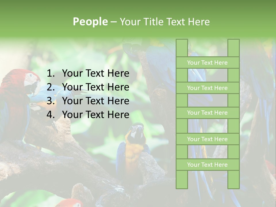 Yellow Forest Image PowerPoint Template