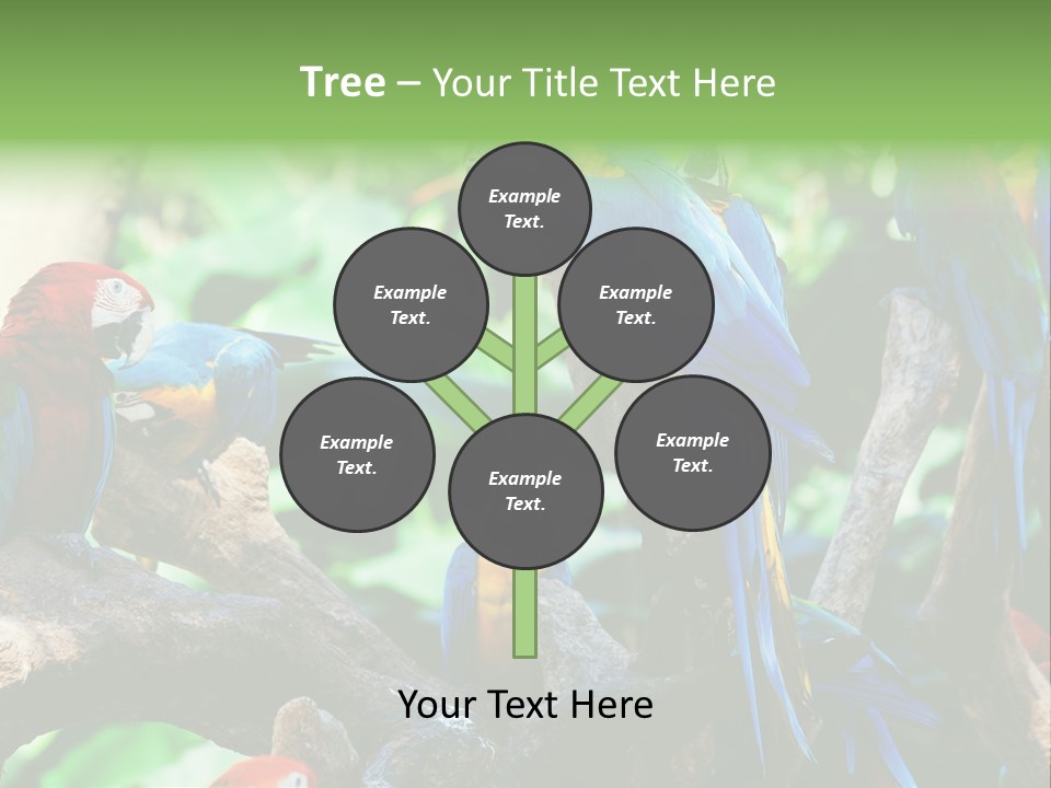 Yellow Forest Image PowerPoint Template