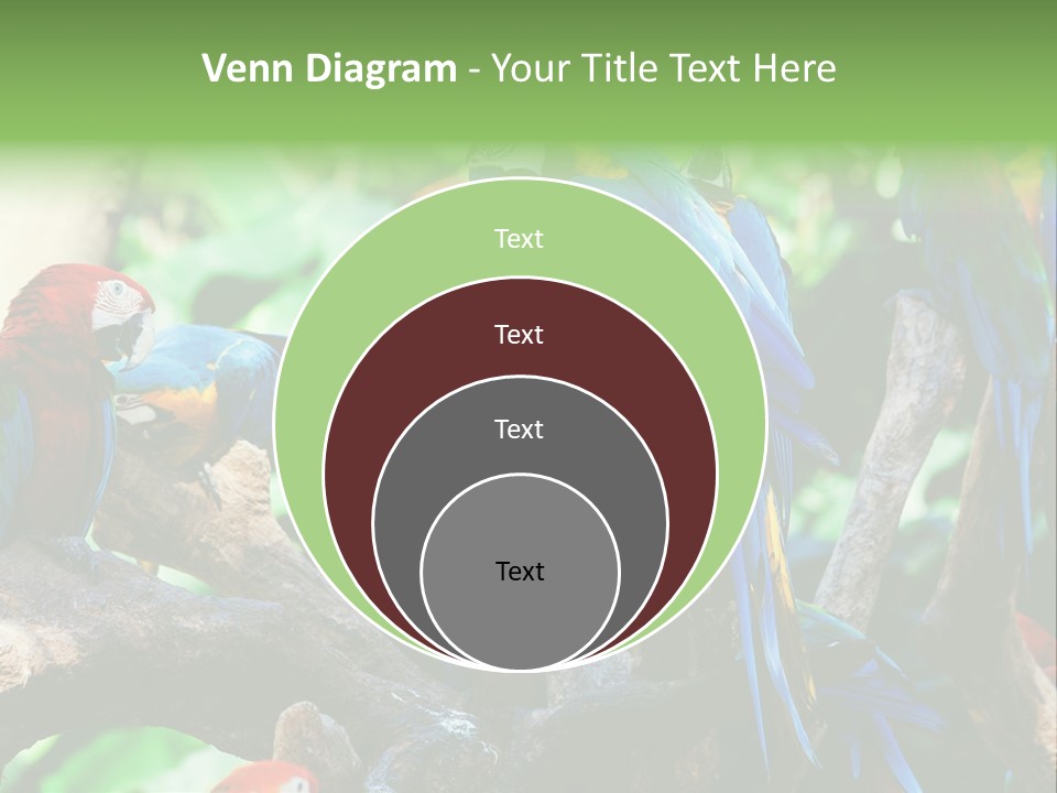 Yellow Forest Image PowerPoint Template