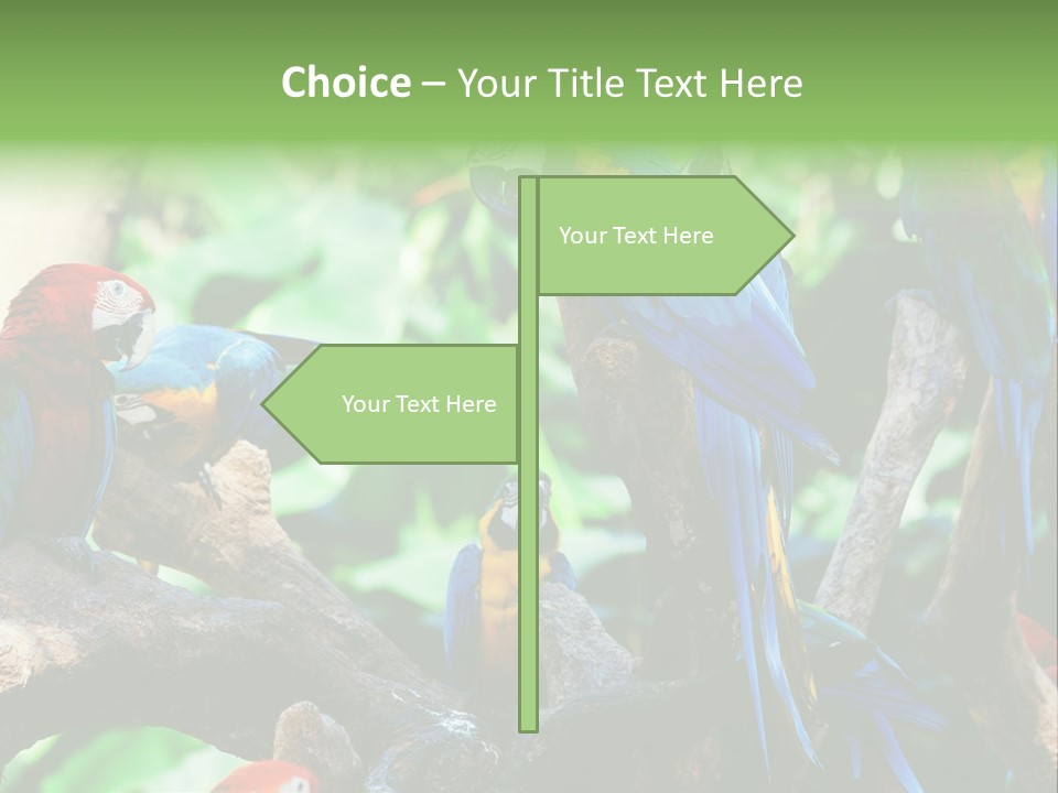 Yellow Forest Image PowerPoint Template