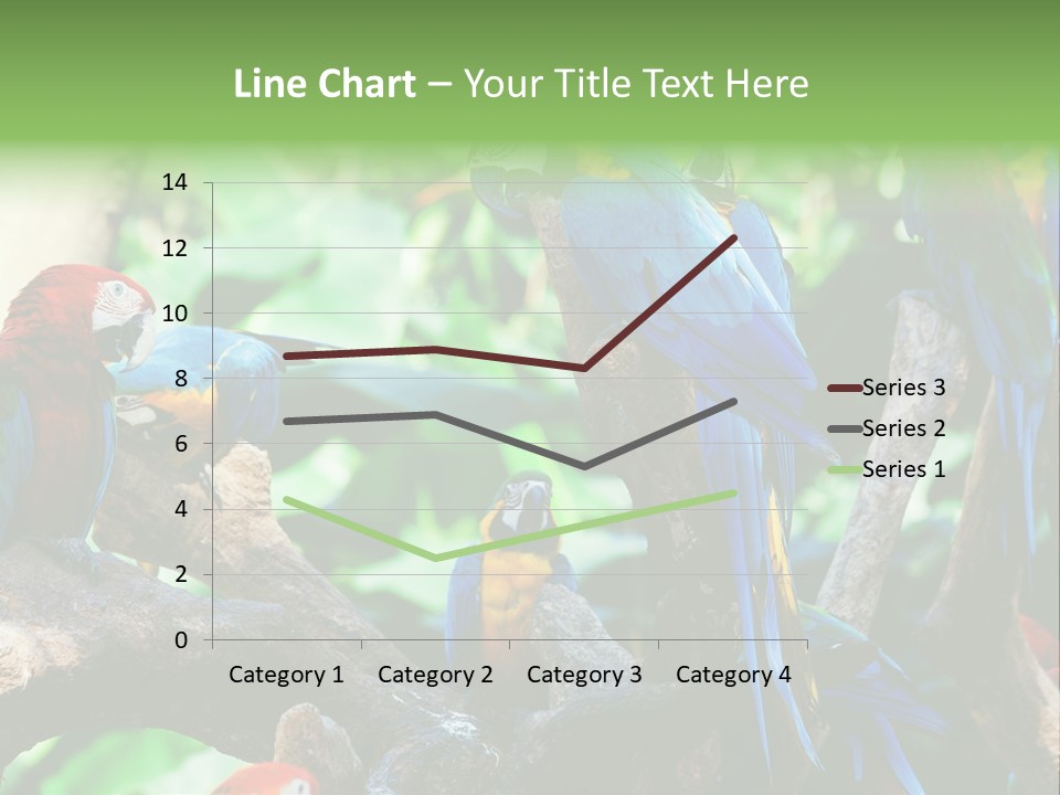 Yellow Forest Image PowerPoint Template