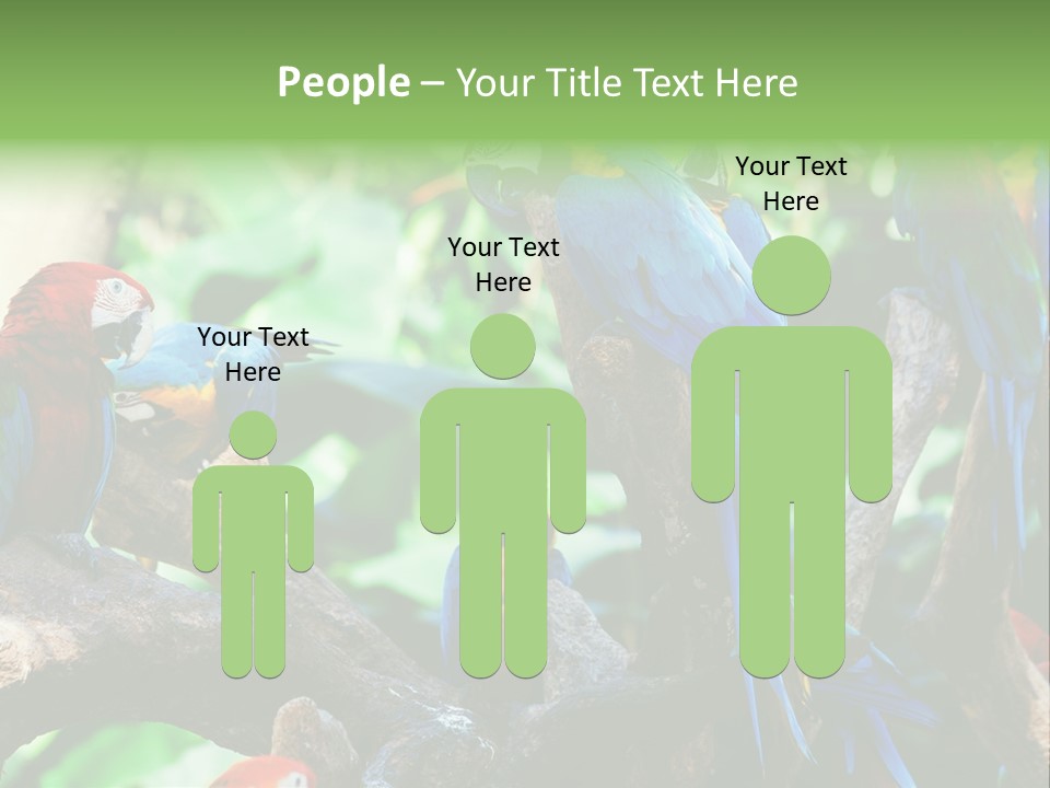 Yellow Forest Image PowerPoint Template