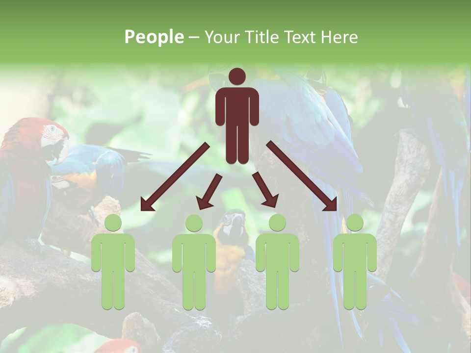 Yellow Forest Image PowerPoint Template