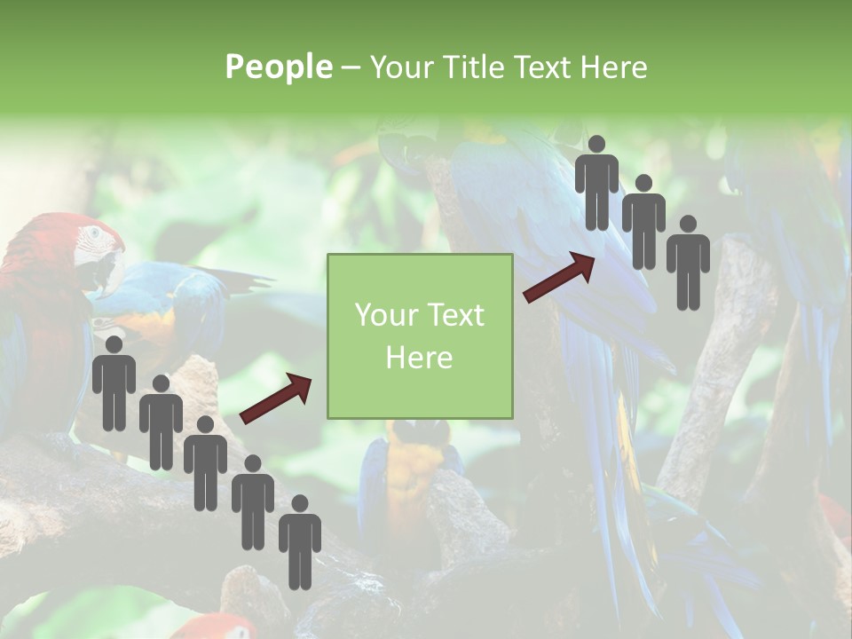 Yellow Forest Image PowerPoint Template