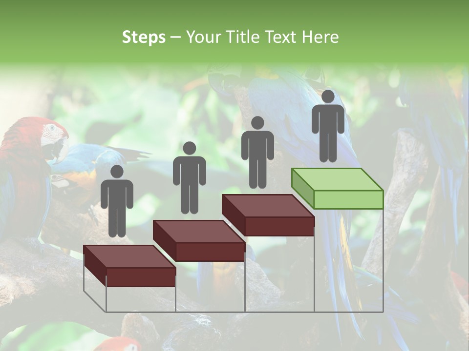 Yellow Forest Image PowerPoint Template