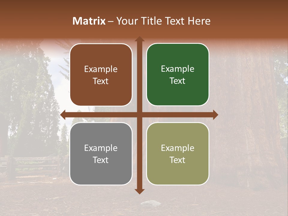 Pines Old Flag PowerPoint Template