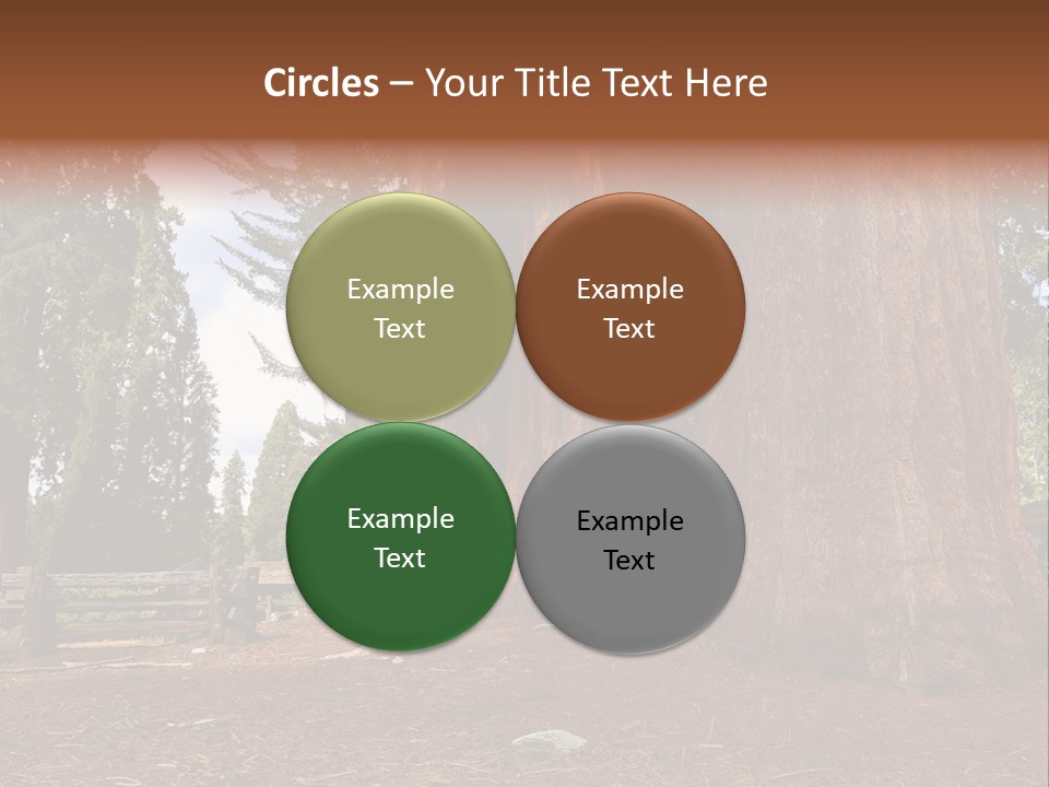 Pines Old Flag PowerPoint Template