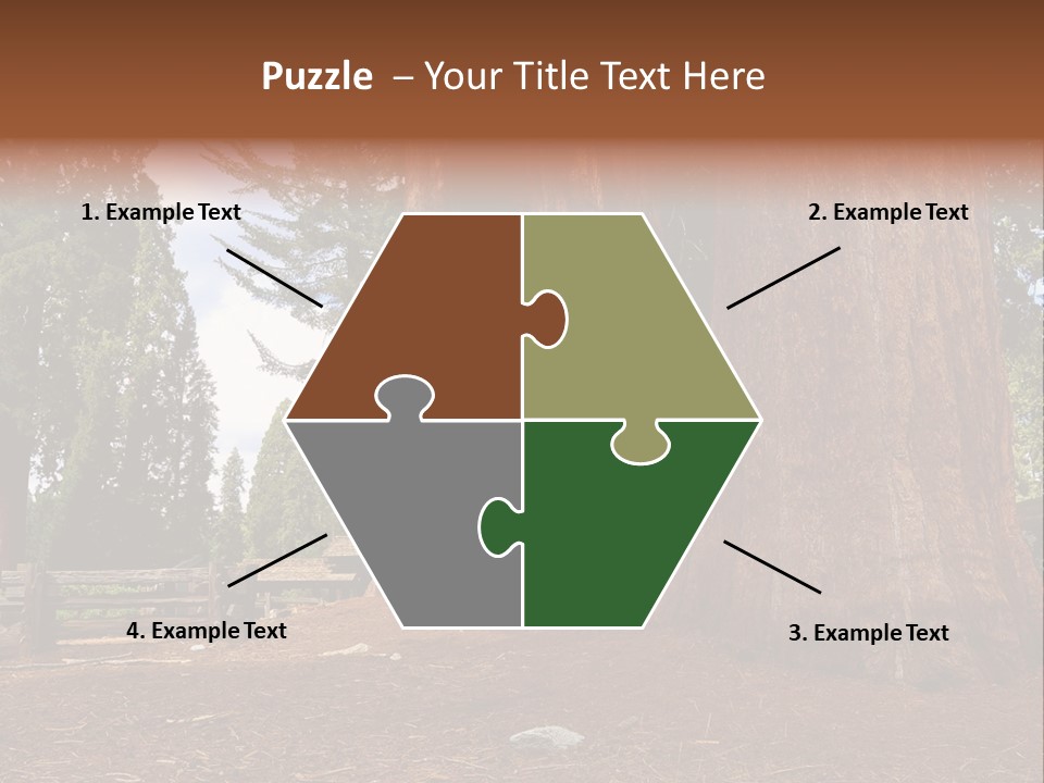 Pines Old Flag PowerPoint Template