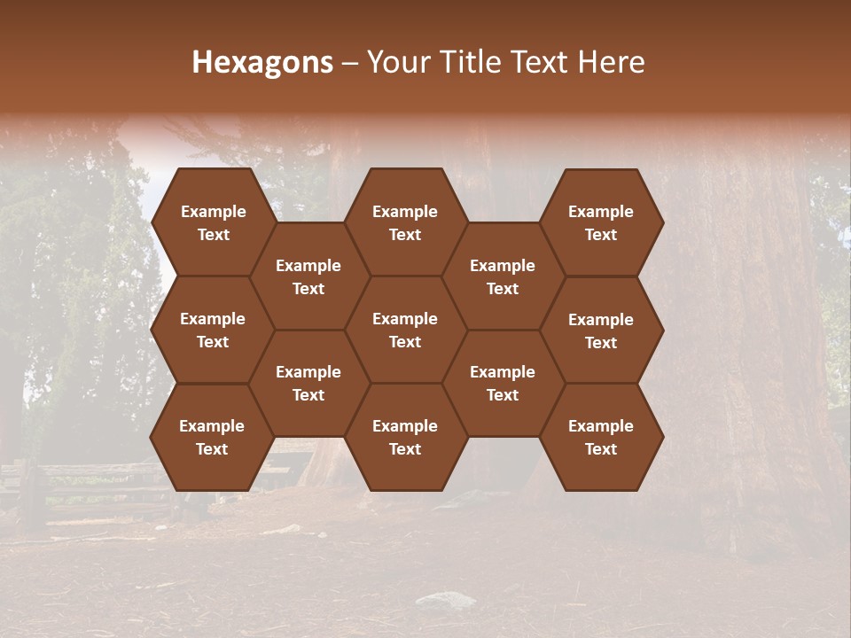 Pines Old Flag PowerPoint Template