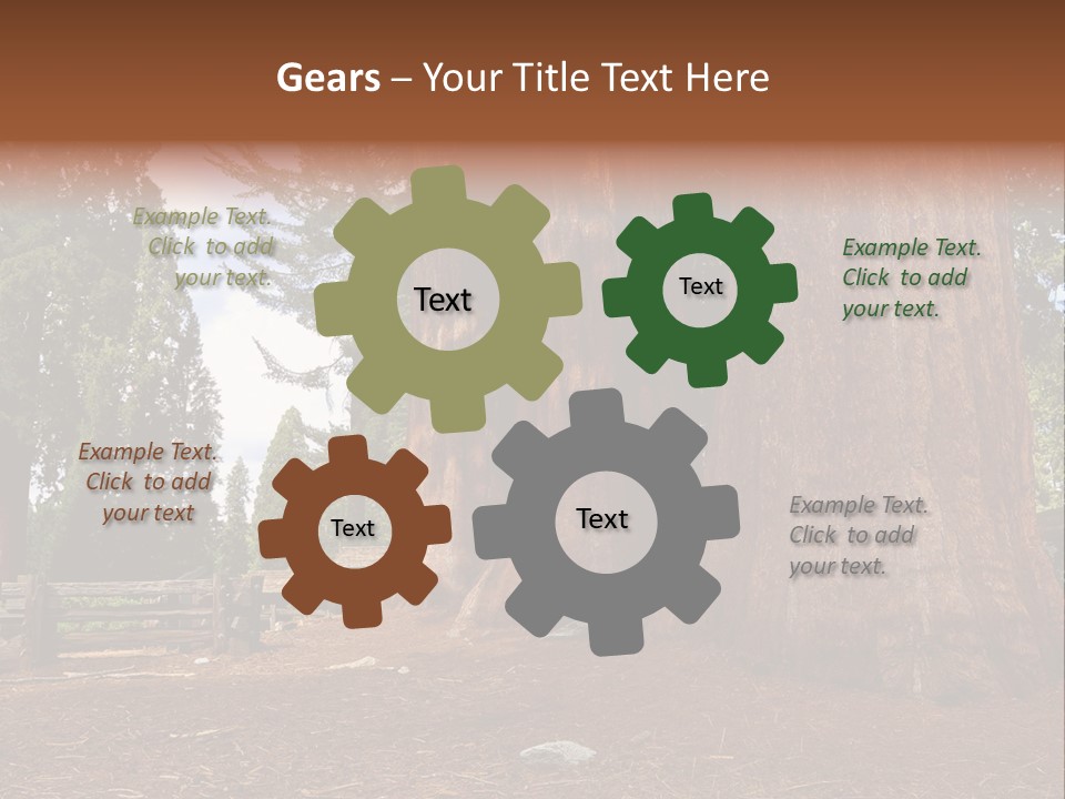 Pines Old Flag PowerPoint Template