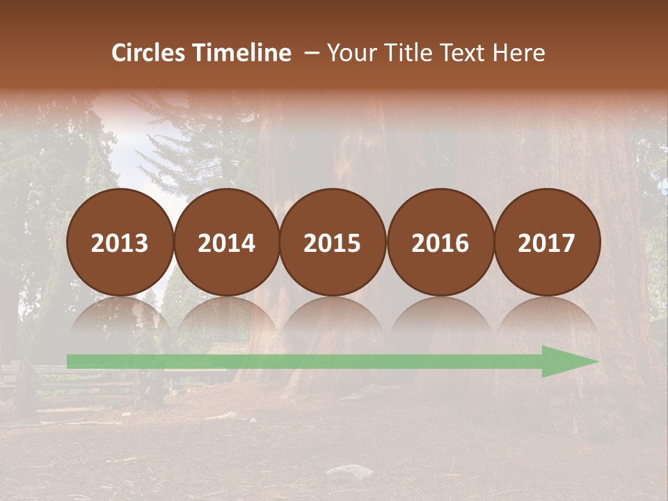 Pines Old Flag PowerPoint Template