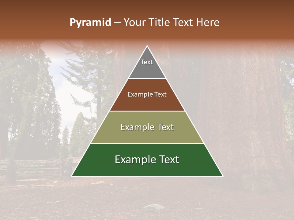 Pines Old Flag PowerPoint Template