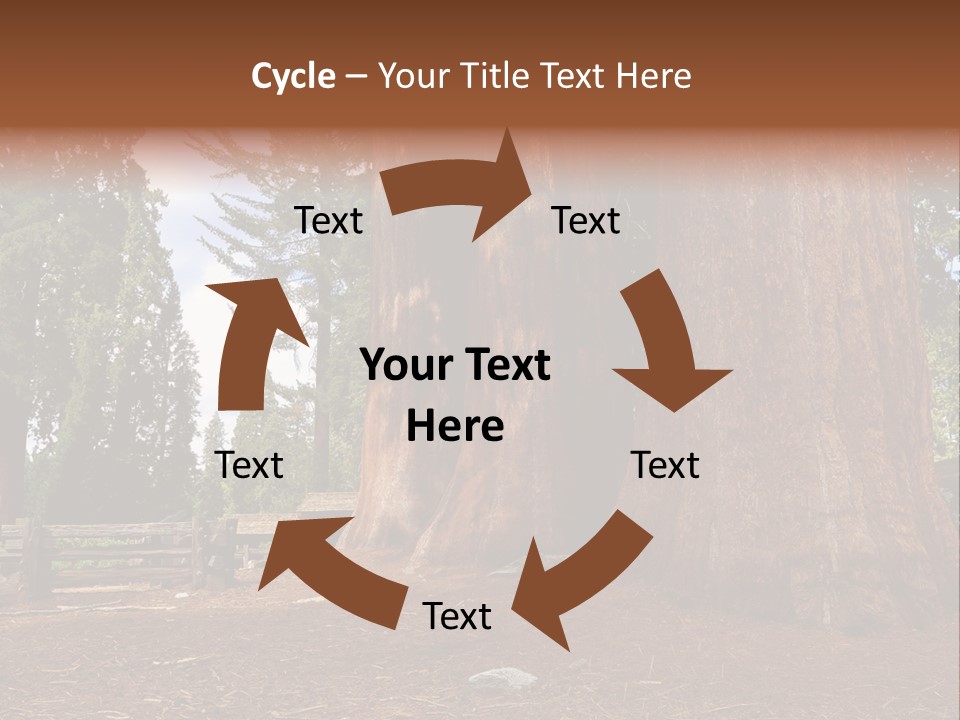 Pines Old Flag PowerPoint Template