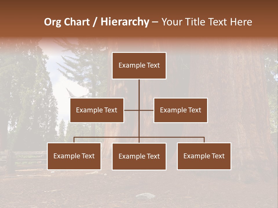 Pines Old Flag PowerPoint Template