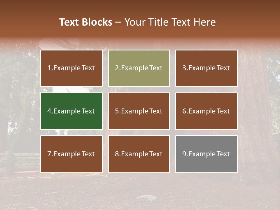 Pines Old Flag PowerPoint Template