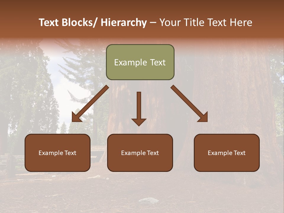 Pines Old Flag PowerPoint Template