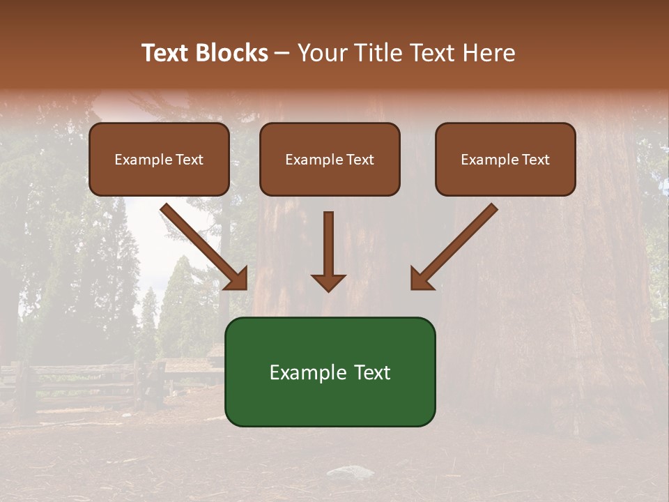 Pines Old Flag PowerPoint Template