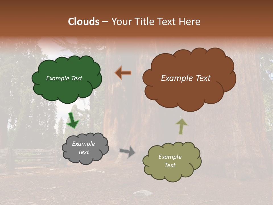 Pines Old Flag PowerPoint Template