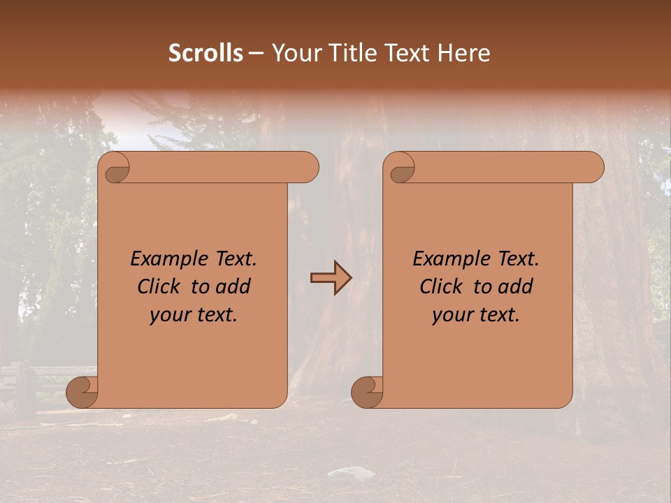 Pines Old Flag PowerPoint Template
