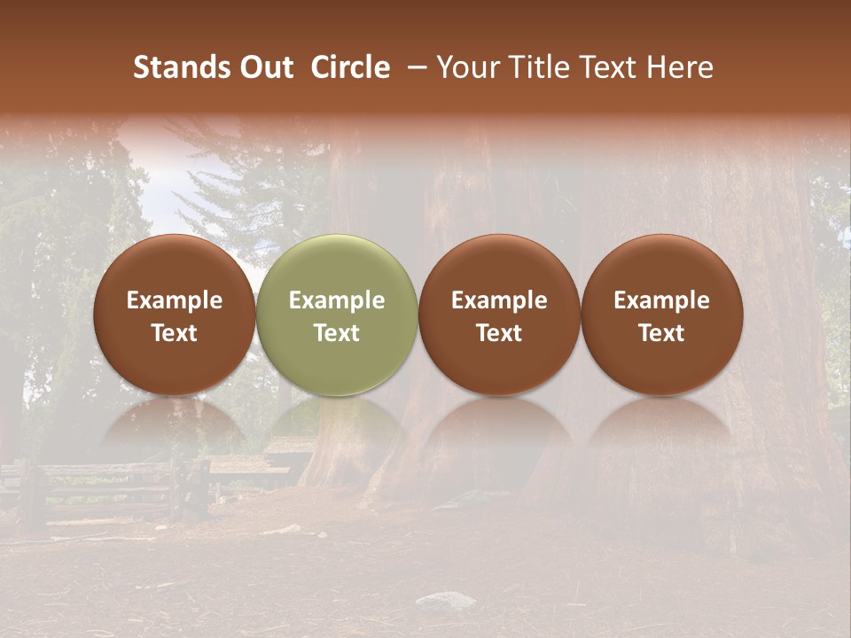 Pines Old Flag PowerPoint Template