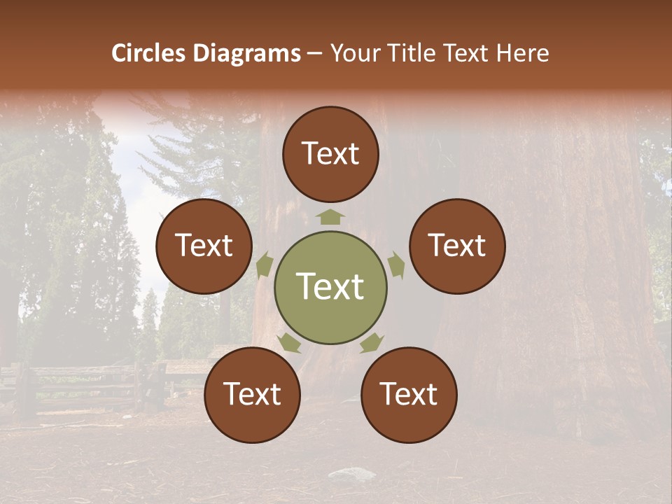 Pines Old Flag PowerPoint Template