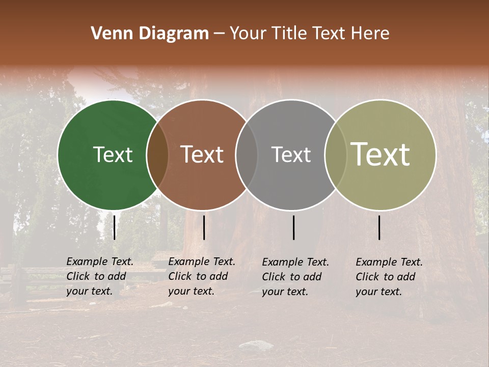 Pines Old Flag PowerPoint Template