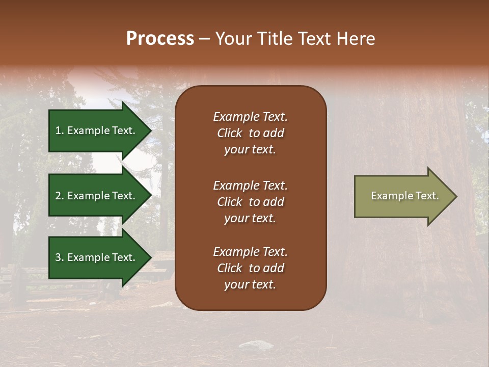 Pines Old Flag PowerPoint Template