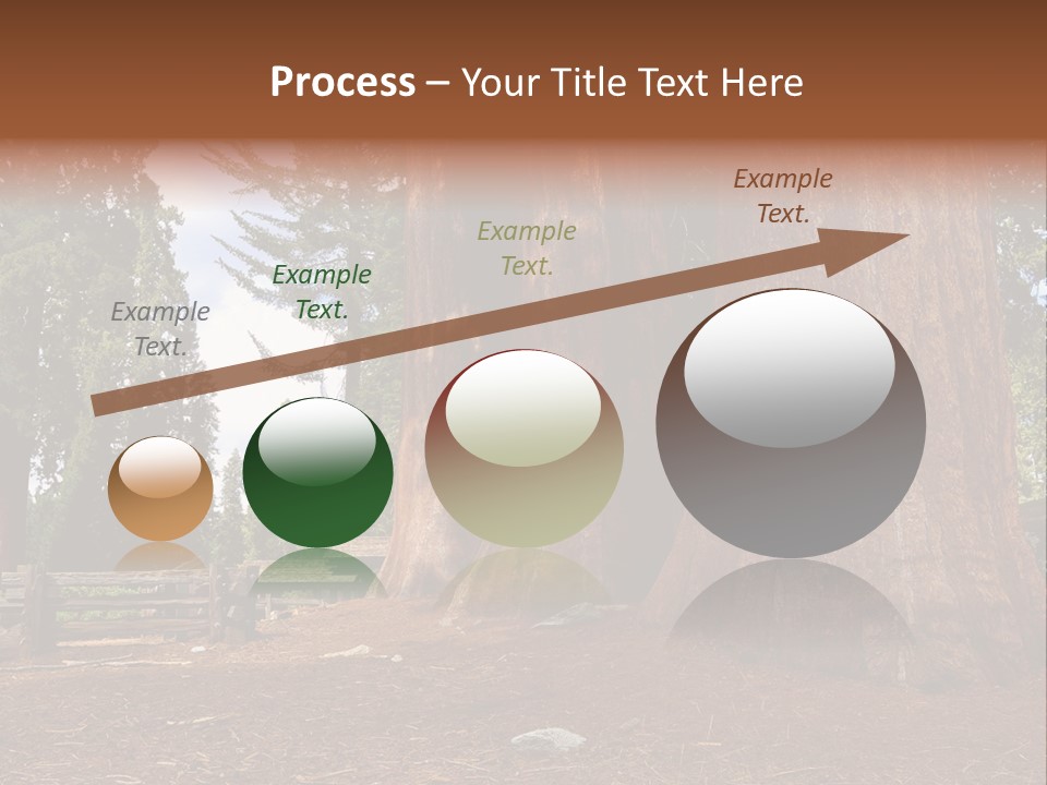 Pines Old Flag PowerPoint Template