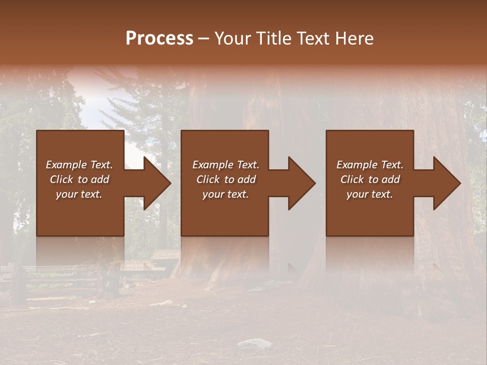 Pines Old Flag PowerPoint Template