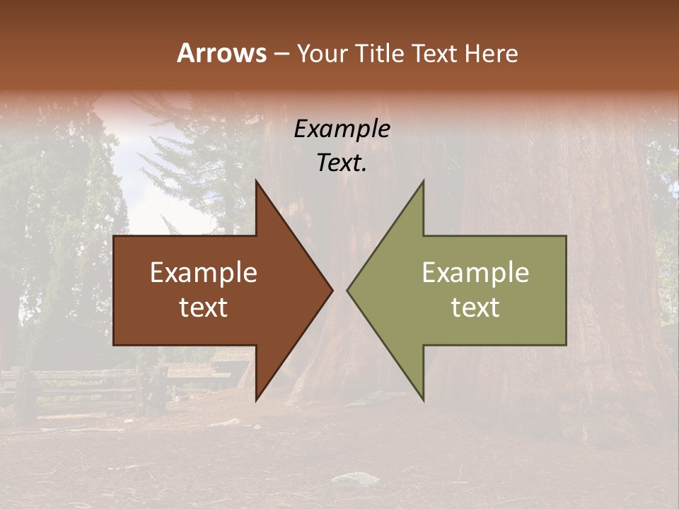 Pines Old Flag PowerPoint Template