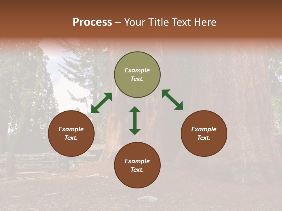 Pines Old Flag PowerPoint Template